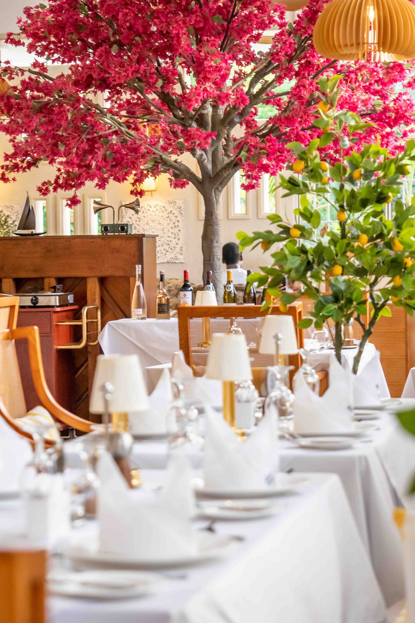 La Terrasse dining room beneath its signature fuchsia tree